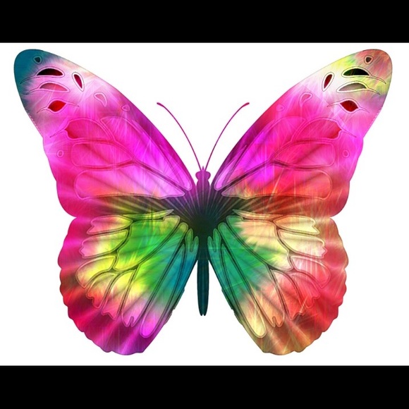 butterfly265